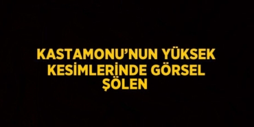 26266252992156328393tasarimli