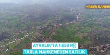 26267289672208830551tasarimli