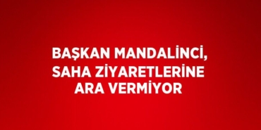 26268282373187227553tasarimli