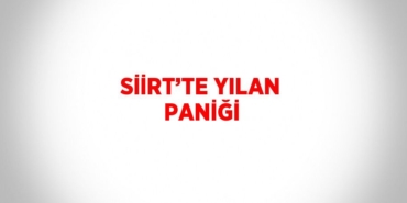26268312372749029149tasarimli