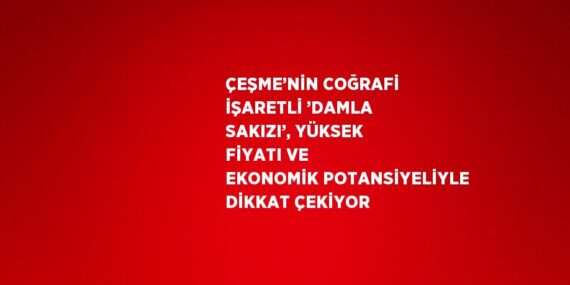 ÇEŞME’NİN COĞRAFİ İŞARETLİ ’DAMLA SAKIZI’, YÜKSEK FİYATI VE EKONOMİK POTANSİYELİYLE DİKKAT ÇEKİYOR