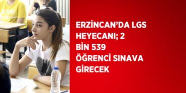 26273213442865925596