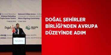 26277207812236521024