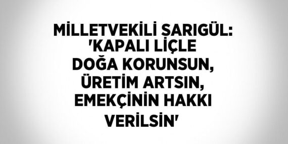 MİLLETVEKİLİ SARIGÜL: ‘KAPALI LİÇLE DOĞA KORUNSUN, ÜRETİM ARTSIN, EMEKÇİNİN HAKKI VERİLSİN’