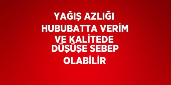 YAĞIŞ AZLIĞI HUBUBATTA VERİM VE KALİTEDE DÜŞÜŞE SEBEP OLABİLİR