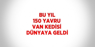 26282236062457721778tasarimli