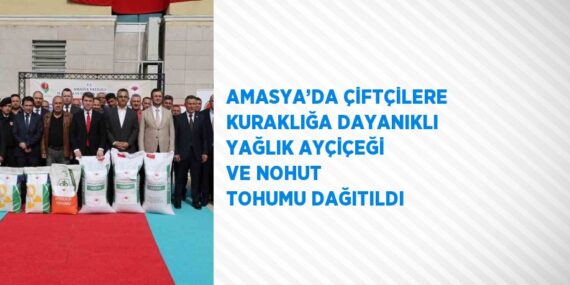 AMASYA’DA ÇİFTÇİLERE KURAKLIĞA DAYANIKLI YAĞLIK AYÇİÇEĞİ VE NOHUT TOHUMU DAĞITILDI