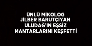 26283215422169724659tasarimli