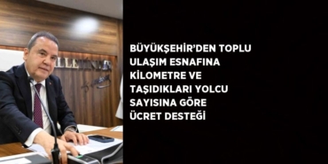 26285265012117229524