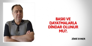 26290238682676531356