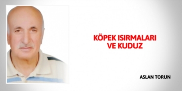 26293271222823027463