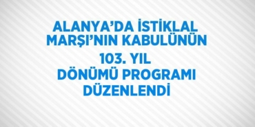 26299311592283521171tasarimli