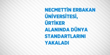 26303227662460526338