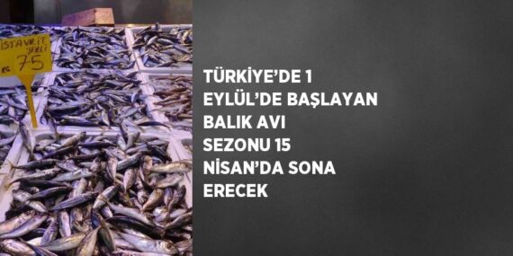 TÜRKİYE’DE 1 EYLÜL’DE BAŞLAYAN BALIK AVI SEZONU 15 NİSAN’DA SONA ERECEK