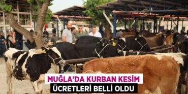 26309208292174331758tasarimli