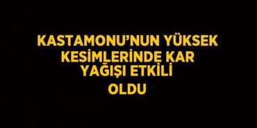 26314233162475320539tasarimli