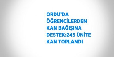 26316317422402923852