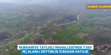 26333316692924331868tasarimli