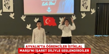 26338267942224223270tasarimli