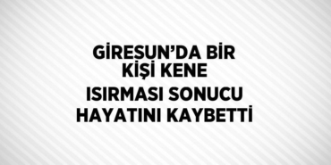 26347246322363228680tasarimli