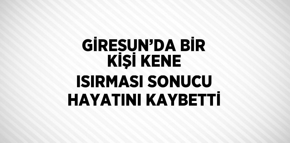 26347246322363228680tasarimli