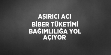 26349209283001127710tasarimli