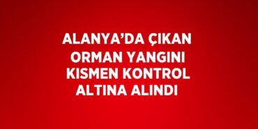 26350286462393620602tasarimli