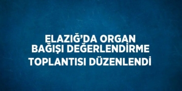 26351279862609422592tasarimli