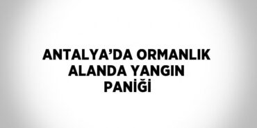 26352234622812421111tasarimli