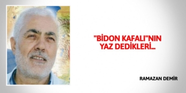 26354206013000127923