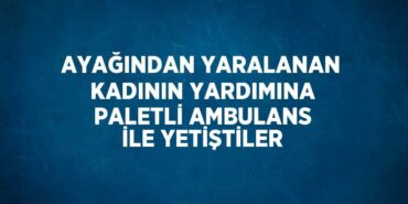 26359217202253227101tasarimli