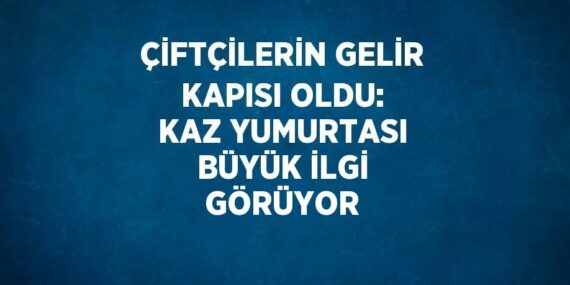 ÇİFTÇİLERİN GELİR KAPISI OLDU: KAZ YUMURTASI BÜYÜK İLGİ GÖRÜYOR