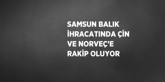 SAMSUN BALIK İHRACATINDA ÇİN VE NORVEÇ’E RAKİP OLUYOR