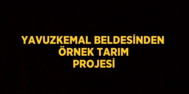 26392291292323720471tasarimli
