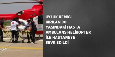 26398218742270524509