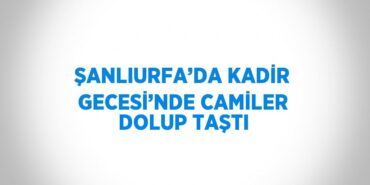 26398290462683922632tasarimli
