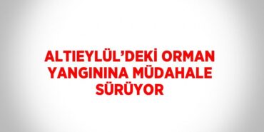26399294242845426542tasarimli