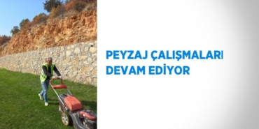 26400201002016127829