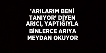 26403212532026626409tasarimli