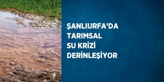 ŞANLIURFA’DA TARIMSAL SU KRİZİ DERİNLEŞİYOR