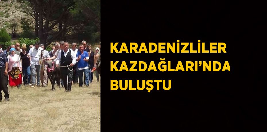 26407286322643130925