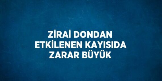 ZİRAİ DONDAN ETKİLENEN KAYISIDA ZARAR BÜYÜK