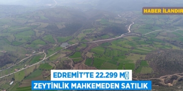 26420301343135531459tasarimli