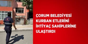 26425225042411331623