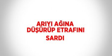 26438210852389626845tasarimli