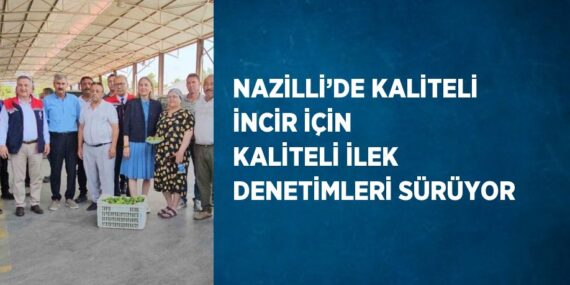 NAZİLLİ’DE KALİTELİ İNCİR İÇİN KALİTELİ İLEK DENETİMLERİ SÜRÜYOR