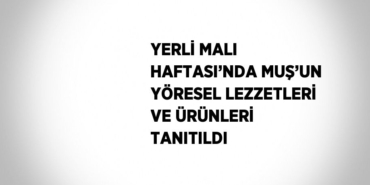 26439271692293128335