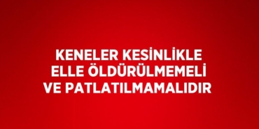 26440306993096820173tasarimli