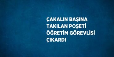 26441289493178423948