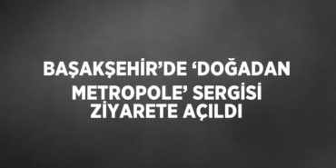 26443258292832824447tasarimli